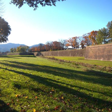 Appartamento Via Grandi - Free Gated Parking - 5 Minutes From Center Lucca Esterno foto